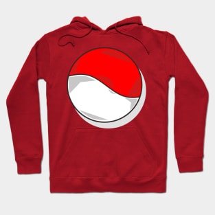 Indonesian flag Hoodie